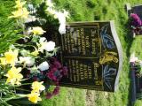 image of grave number 845949